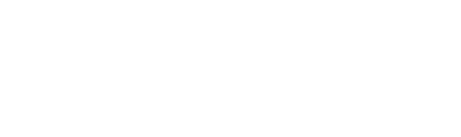 INSA Lyon