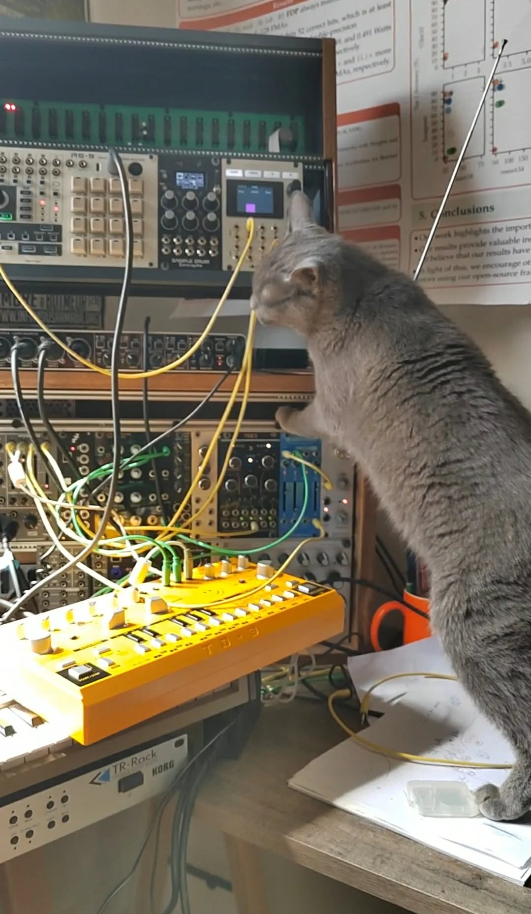 Ada beside a modular synthesizer